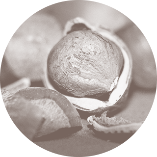 Nocciole corso artigianale di gelateria naturale